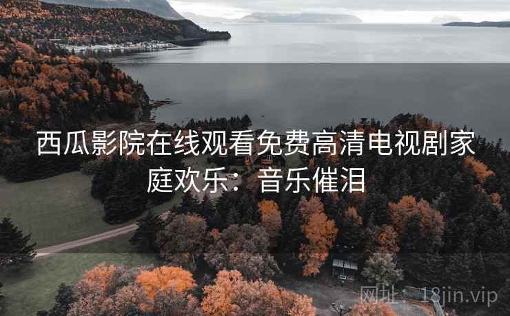西瓜影院在线观看免费高清电视剧家庭欢乐：音乐催泪
