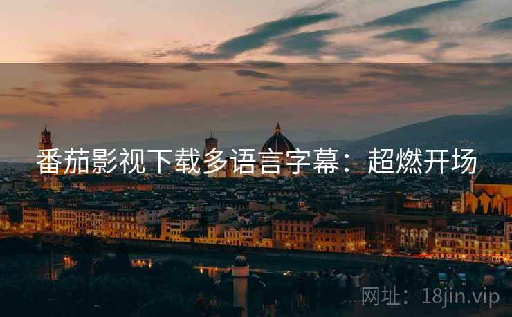 番茄影视下载多语言字幕：超燃开场