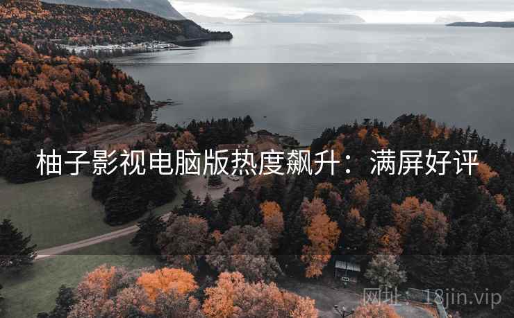 柚子影视电脑版热度飙升：满屏好评