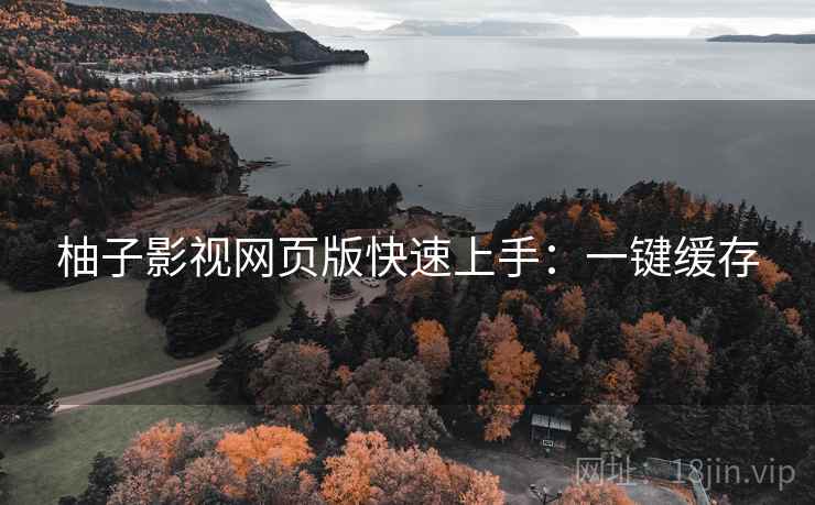 柚子影视网页版快速上手：一键缓存