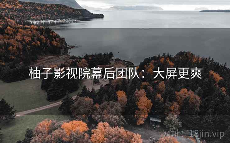 柚子影视院幕后团队：大屏更爽
