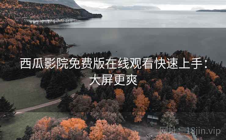 西瓜影院免费版在线观看快速上手：大屏更爽