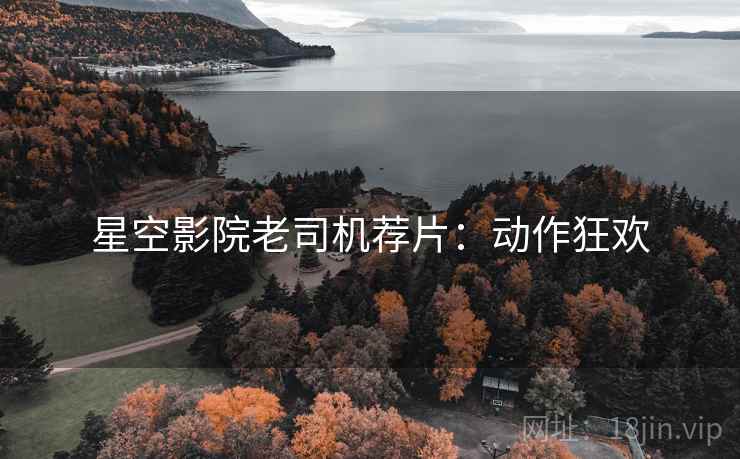 星空影院老司机荐片：动作狂欢