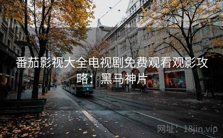 番茄影视大全电视剧免费观看观影攻略：黑马神片