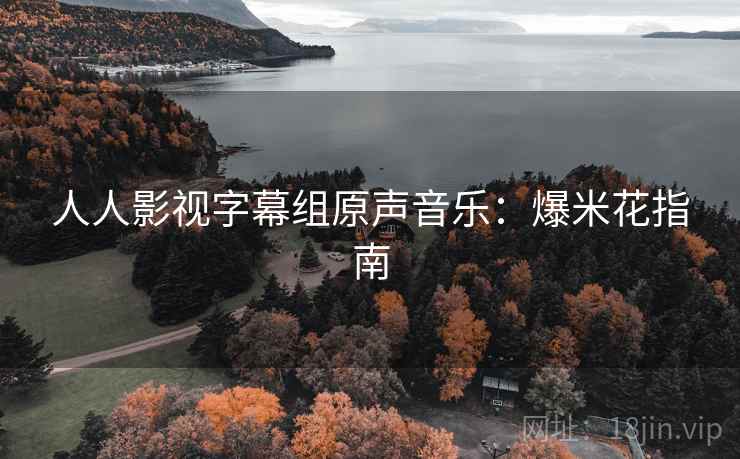 人人影视字幕组原声音乐：爆米花指南